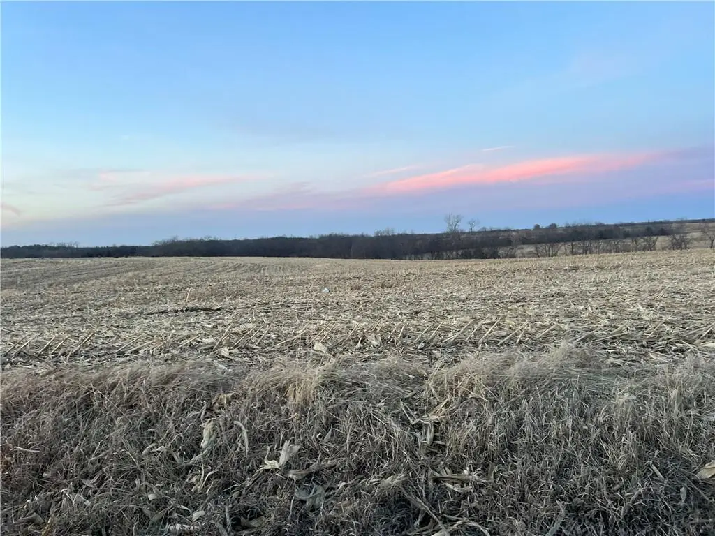 112th Street, Winston, MO 64689 - #1