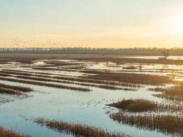 Cr 316 Road, Carrollton, MO 64633