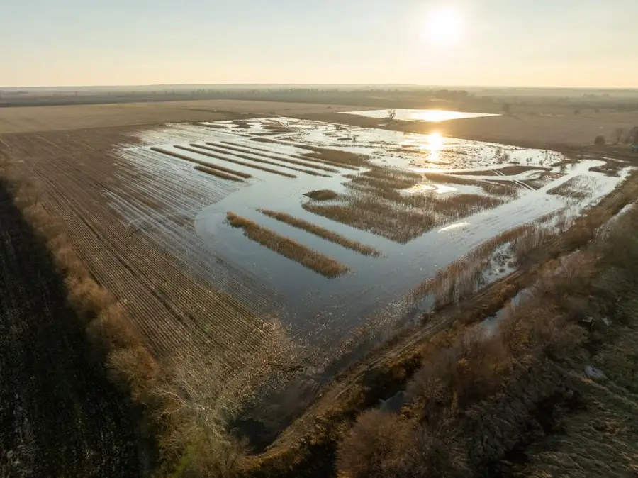 Cr 316 Road, Carrollton, MO 64633 - Image #3