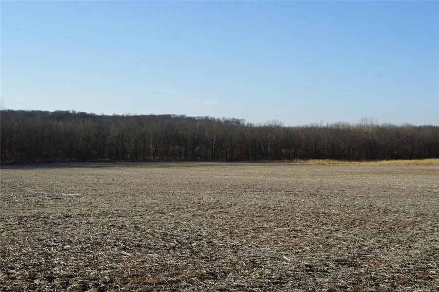 County Road 216 Road, Chillicothe, MO 64601 - Image #3