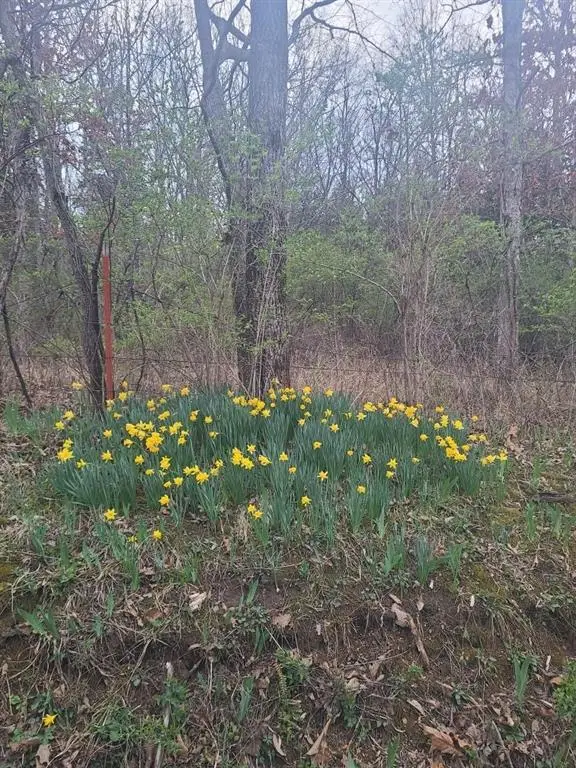 Margaret Drive, Lincoln, MO 65338