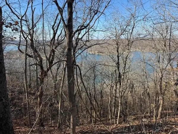 Chimney Rock Road, Camdenton, MO 65020