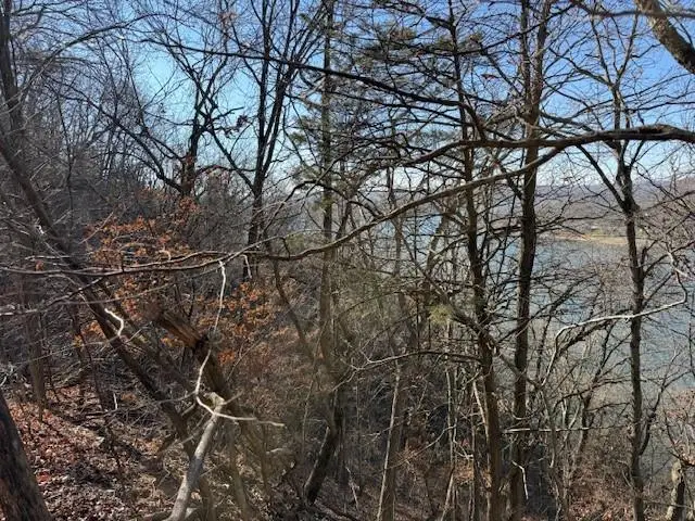 Chimney Rock Road, Camdenton, MO 65020 - Image #2