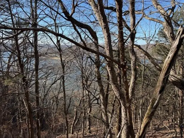 Chimney Rock Road, Camdenton, MO 65020 - Image #3