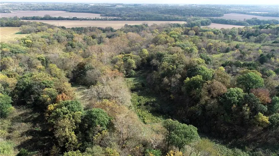 Tract 3 County Road 344 Road, Savannah, MO 64485 - #3