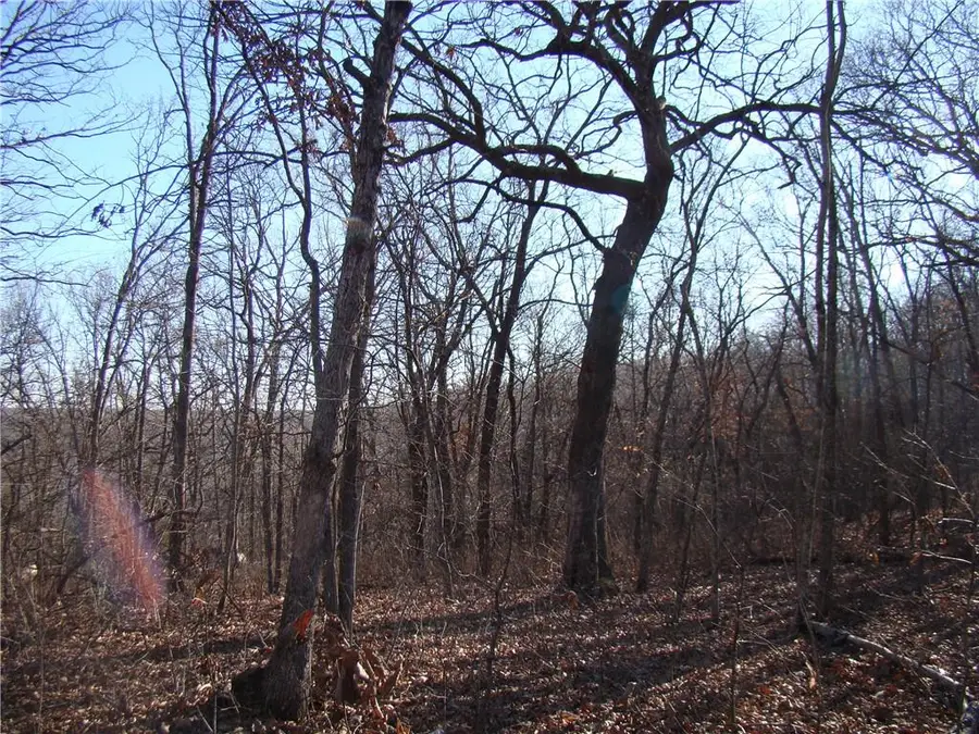 Gore/keevon Road, Lincoln, MO 65338 - #3