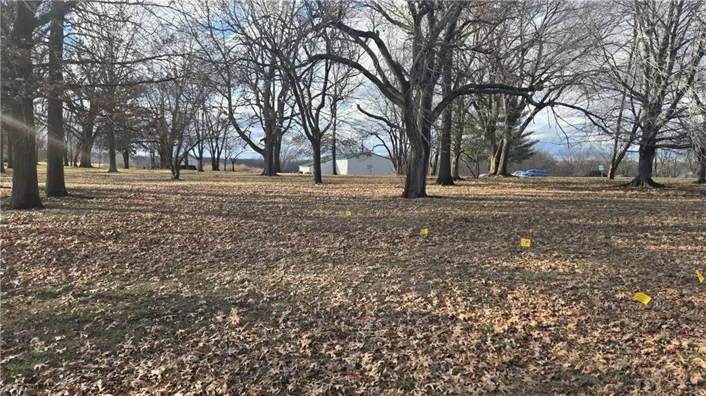 TBD S Buckner Tarsney Road, Grain Valley, MO 64029 - Image #1