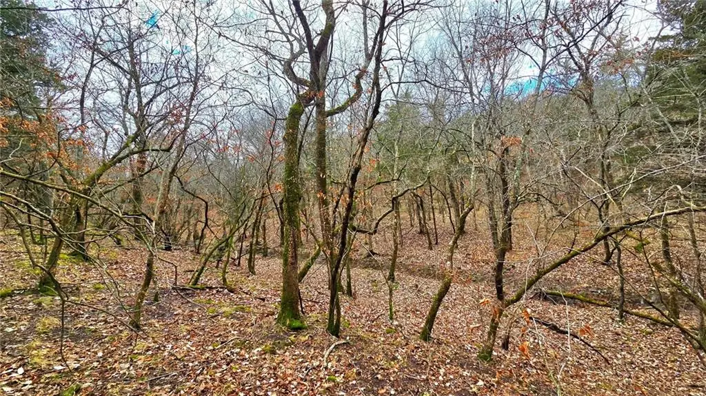 12156 Ellis Road, Centerville, KS 66014 - Image #1