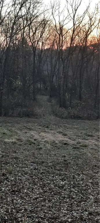 35604 400th Street, Guilford, MO 64457 - #2