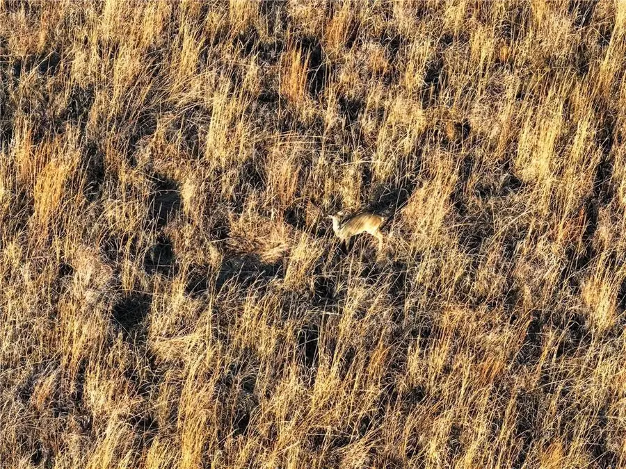 74 Ne 70th Lane, Lamar, MO 64759 - Image #3