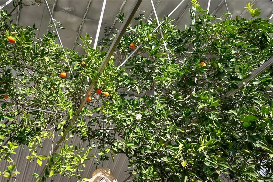 1030 NE 88th Street, Kansas City, MO 64155 - Image #3