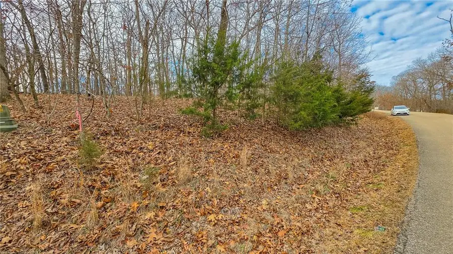 Lot #1251 Spring Creek Drive, Sunrise Beach, MO 65079 - #2