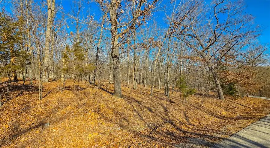 Lot #455 Grand View Drive, Sunrise Beach, MO 65079 - Image #2