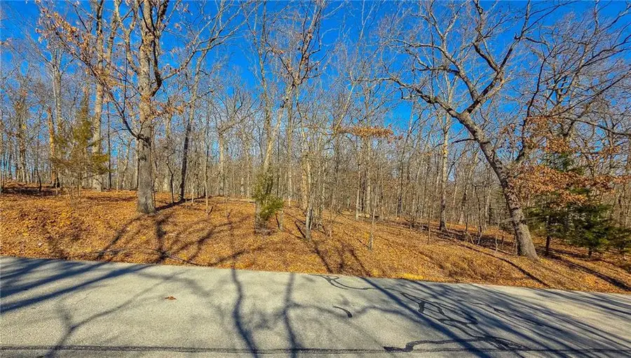 Lot #455 Grand View Drive, Sunrise Beach, MO 65079 - Image #3