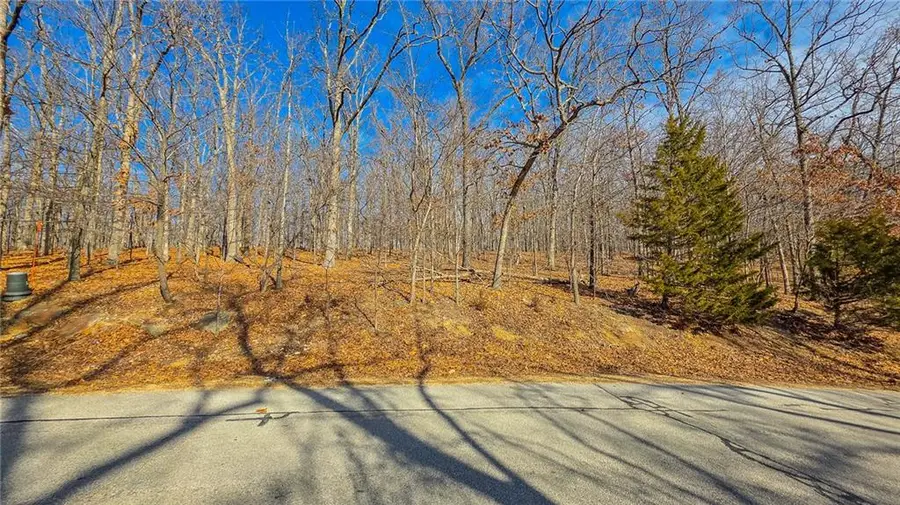 Lot #435 Grand View Drive, Sunrise Beach, MO 65079 - Image #3