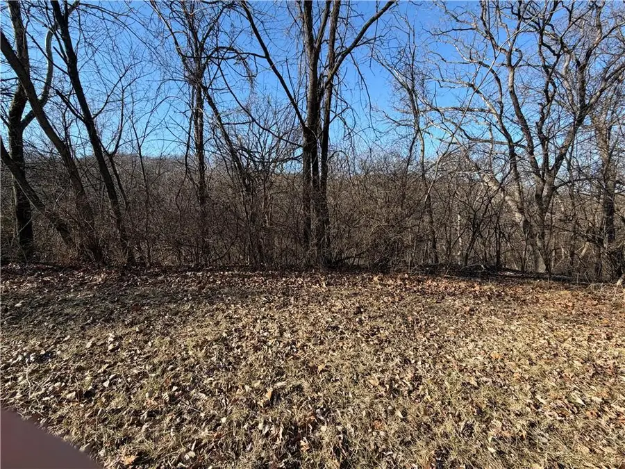 High Drive, Excelsior Springs, MO 64024 - #2