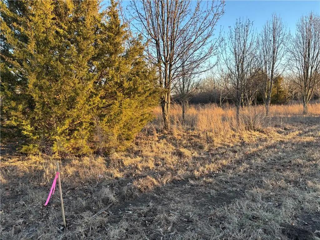 34 & 38 Louisiana Drive, Linn Valley, KS 66040 - #1