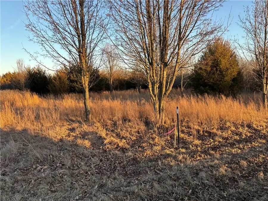 34 & 38 Louisiana Drive, Linn Valley, KS 66040 - #3