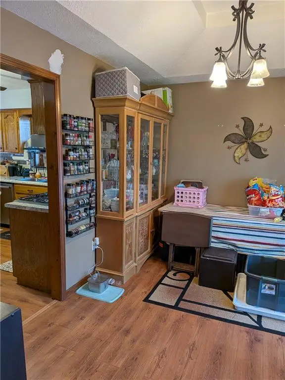 500 Opera House Lane, Odessa, MO 64076 - #3