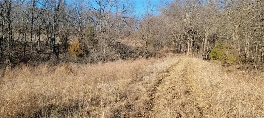 247th Victory Road, Spring Hill, KS 66083 - #3