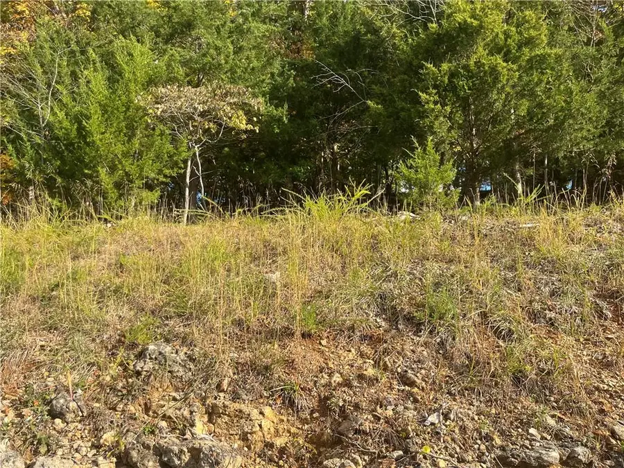 Palisades Drive, Village Of Four Seasons, MO 65049 - #3