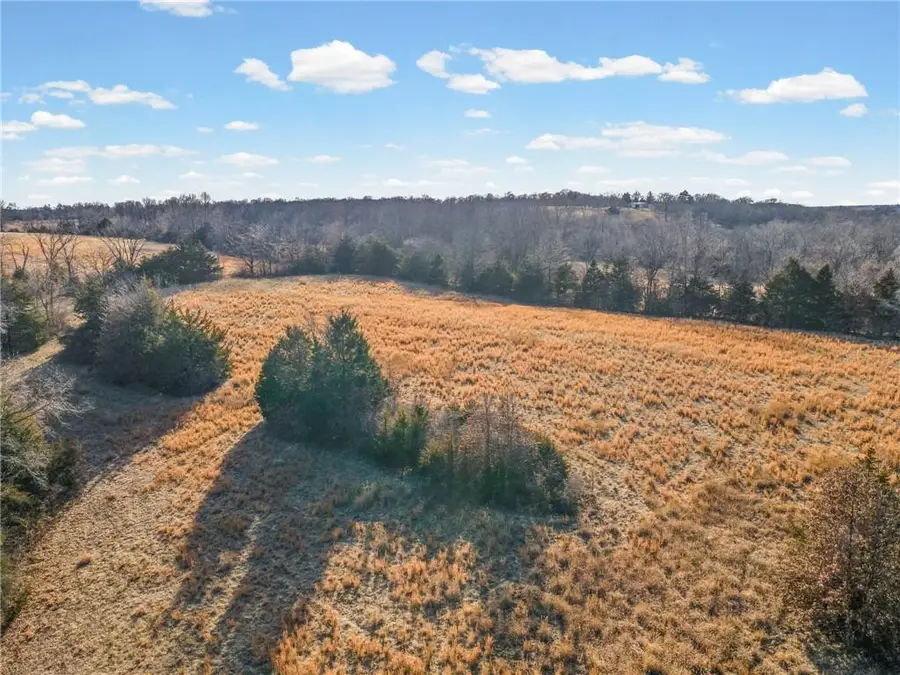 10155 Liv 233 Road, Chillicothe, MO 64601 - #2