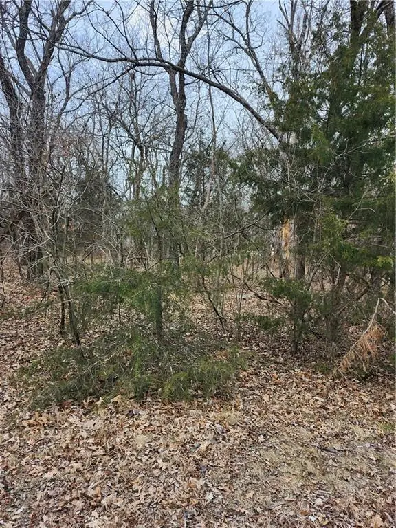 13 Silver Lane, Linn Valley, KS 66040