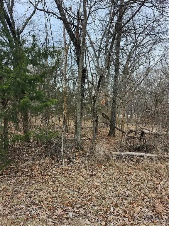 13 Silver Lane, Linn Valley, KS 66040 - #3