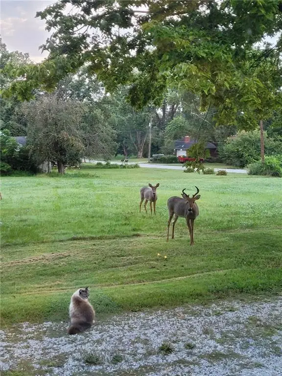 14815 E Mayes Road, Independence, MO 64050 - #3