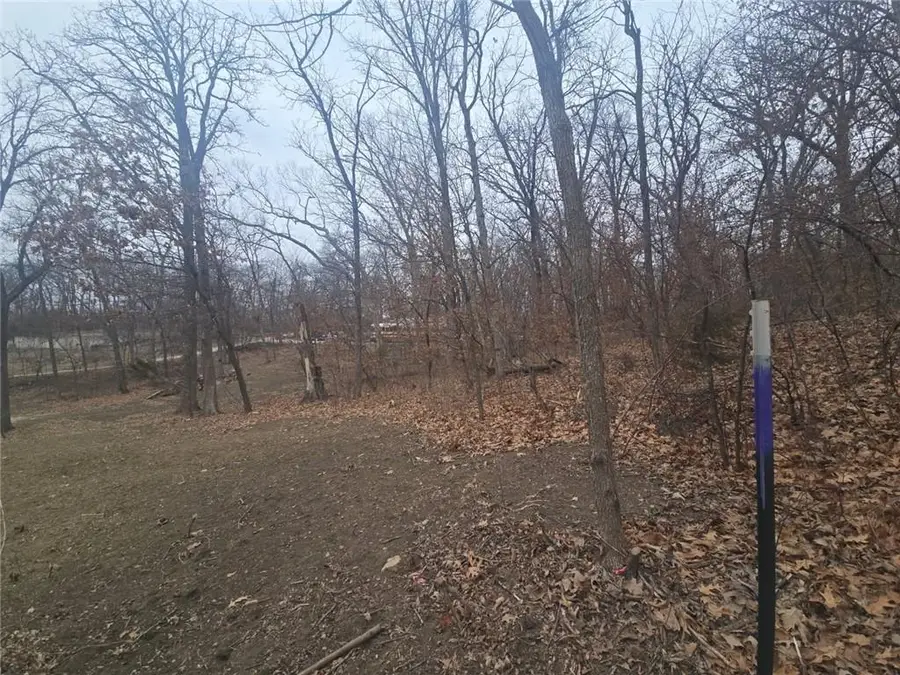 32265 Chaela Lane, Excelsior Springs, MO 64024 - #3