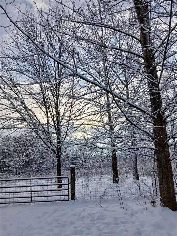 1615 NW 450th Road, Kingsville, MO 64061 - Image #2