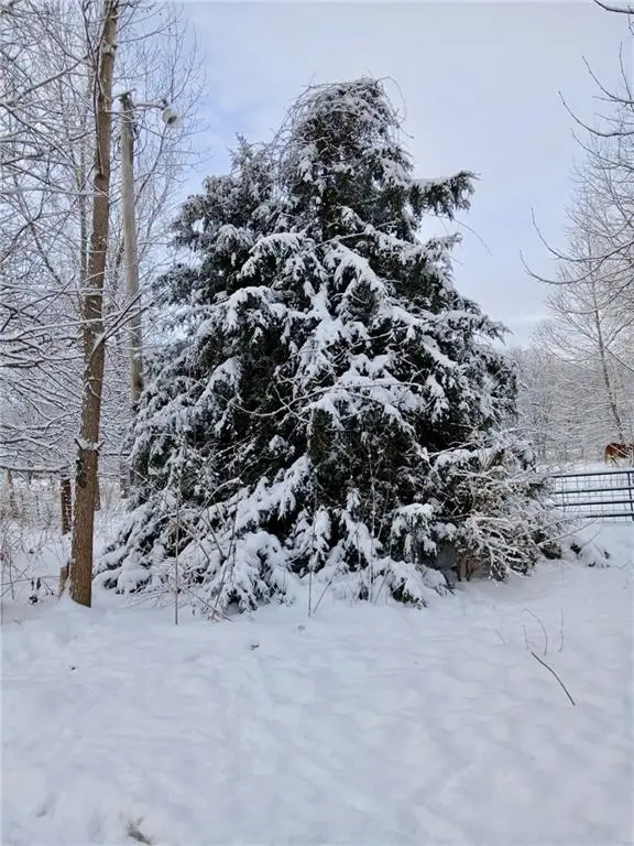 1615 NW 450th Road, Kingsville, MO 64061 - Image #3