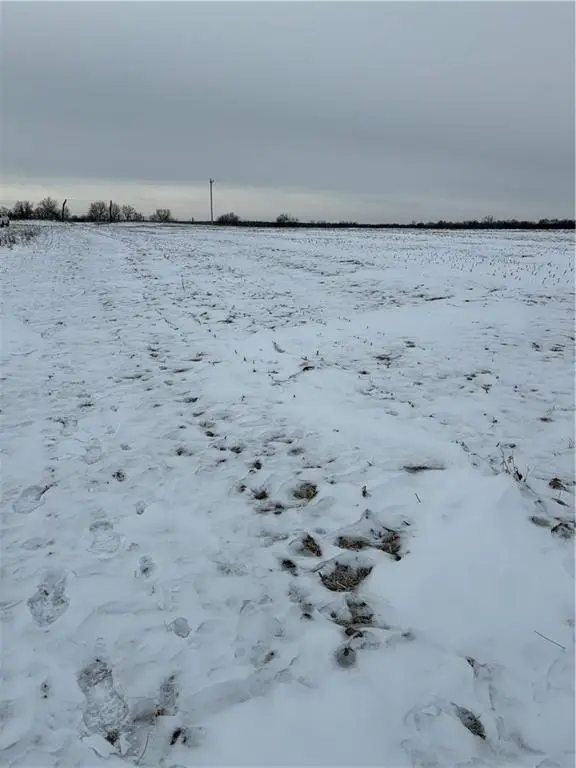 0 NE U Highway, Hamilton, MO 64644 - Image #3