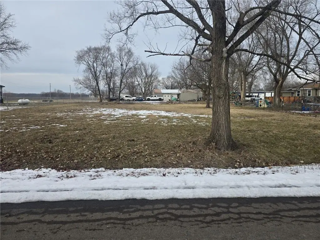 725 Pearl Street, East Lynne, MO 64743 - Image #1