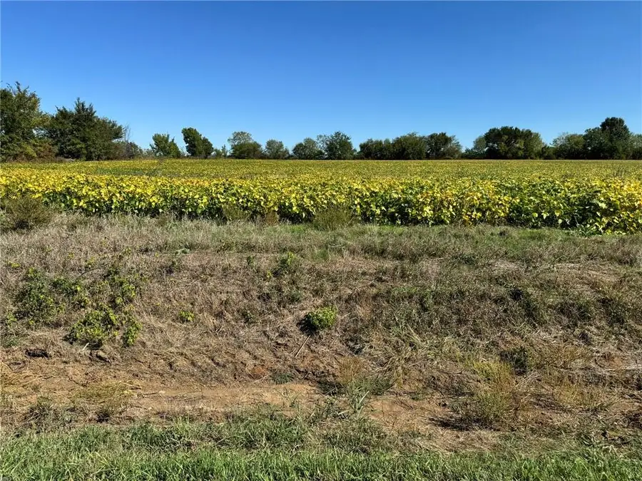 Lone Star Road, Paola, KS 66071 - #3