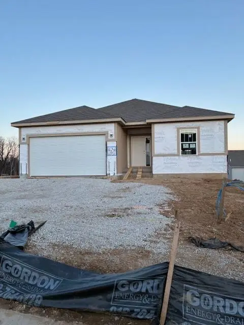 16256 Giorgia Street, Parkville, MO 64152 - #1