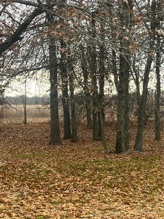 000000 E 610th Avenue, Pittsburg, KS 66762