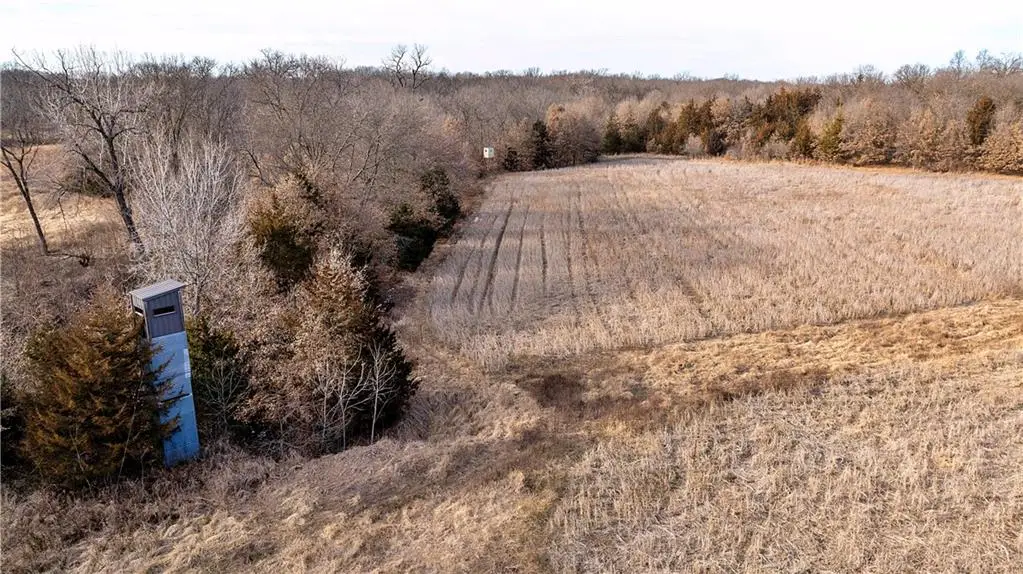 Flint Avenue, Jameson, MO 64647 - #1