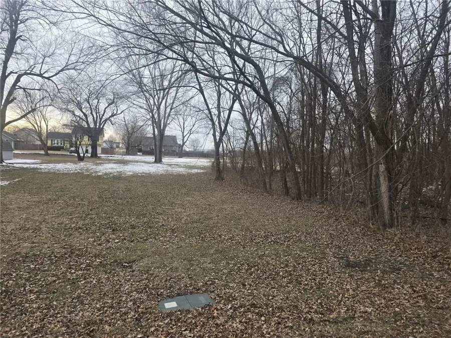 N Washington Street, East Lynne, MO 64743 - #2