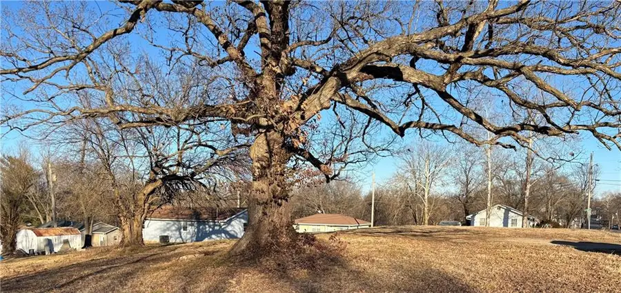 307/301 W Spring Street, El Dorado Springs, MO 64744 - #2