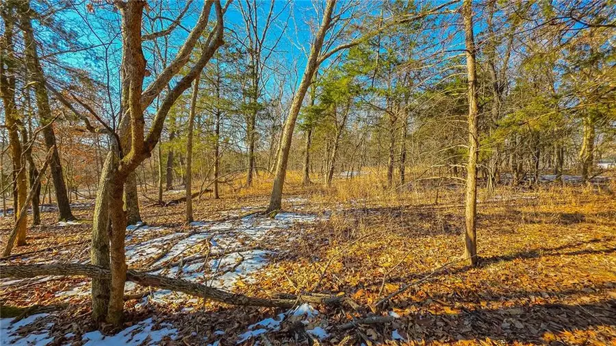 Lot #1356 Champion Drive, Sunrise Beach, MO 65079 - #3