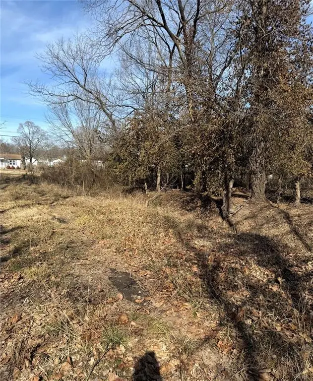 Back Lot Laurel Street N/a, Joplin, MO 64801 - #1