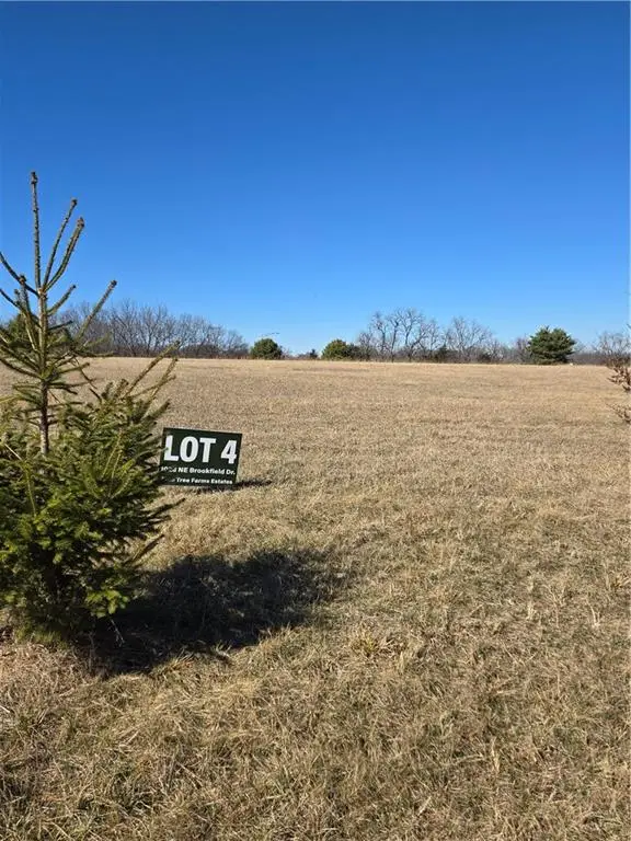 1028 Brookfield Drive, Lee's Summit, MO 64086