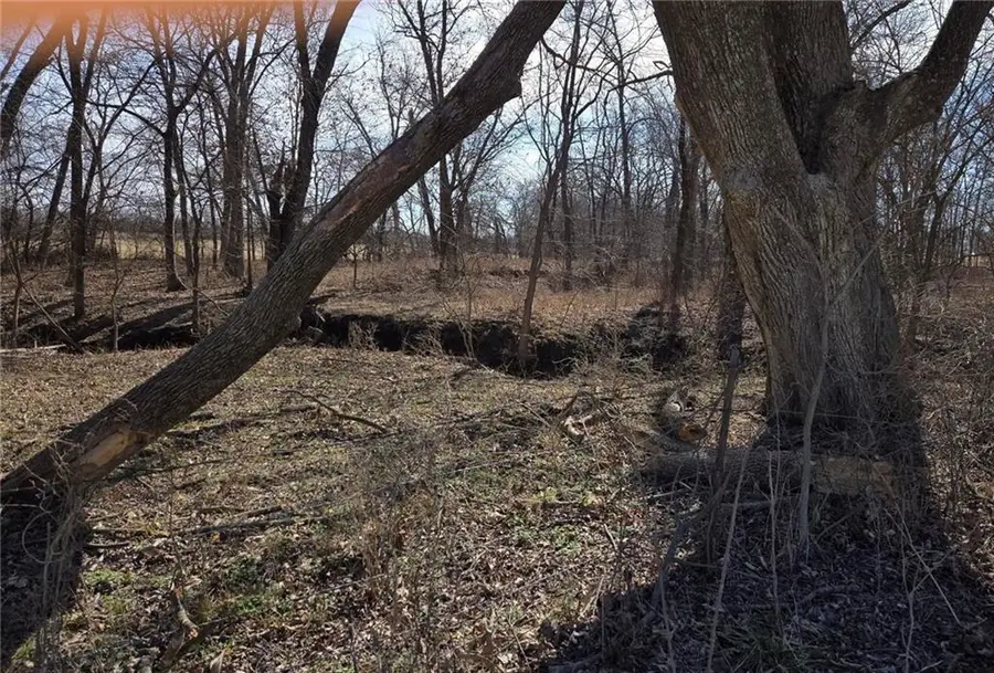 Lot 1 NW County Road 17402 N/a, Archie, MO 64725 - #3