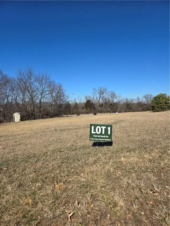 1700 NE Bluff Street, Lees Summit, MO 64086 - #2