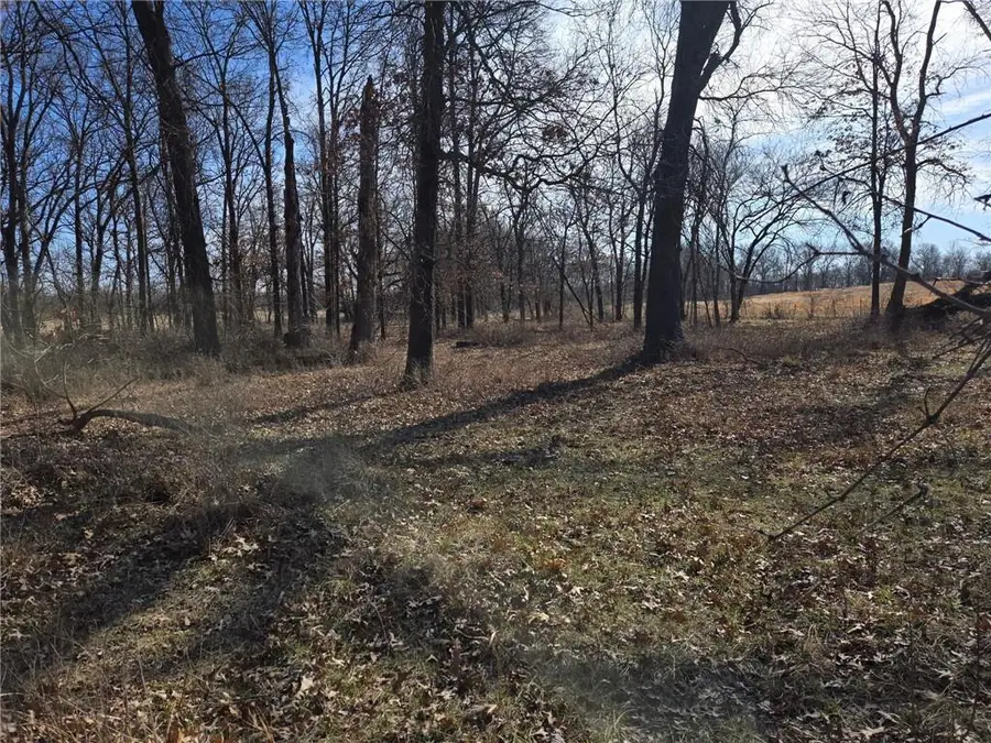 Lot 3 NW County Road 17402 N/a, Archie, MO 64725 - #2