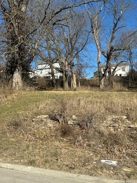 4439 Agnes Avenue, Kansas City, MO 64130 - #3