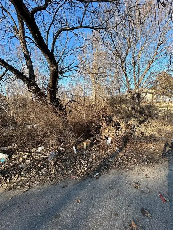 910 Northrup Avenue, Kansas City, KS 66101 - #3