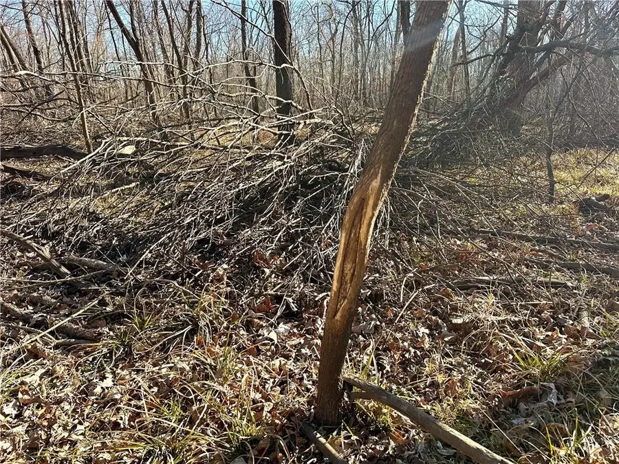 000 Old River Road, Rockville, MO 64780 - #2