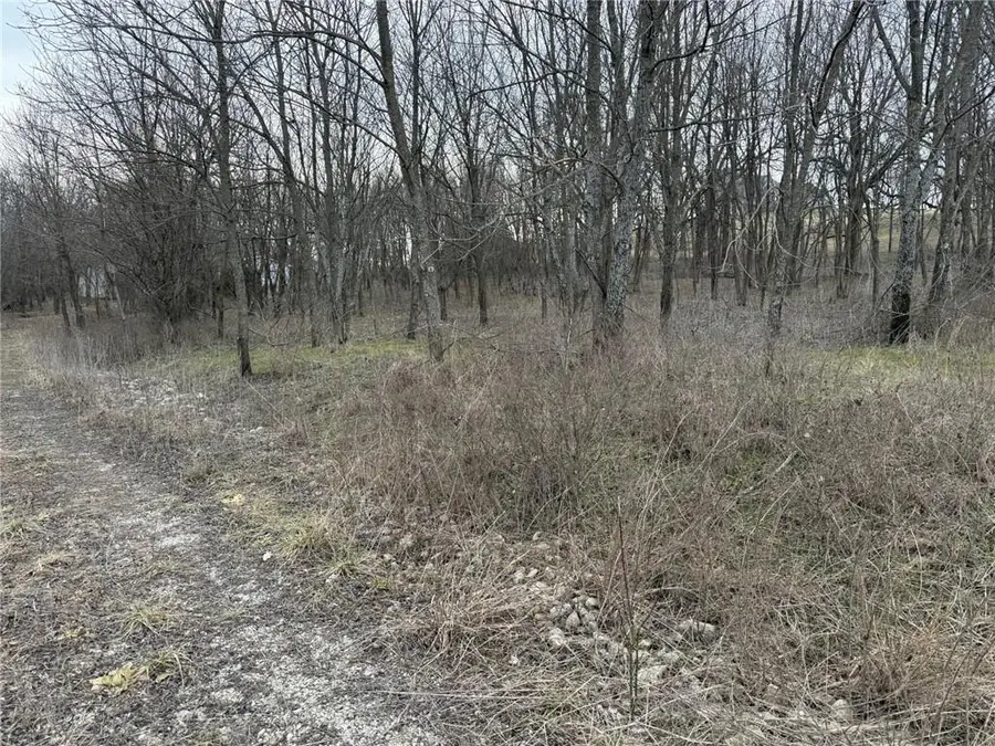 30941 E 219th Street, Pleasant Hill, MO 64080 - #2